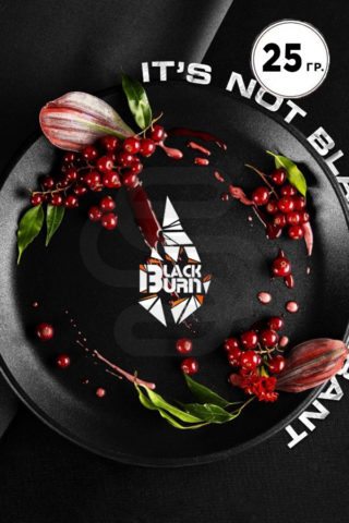 Black Burn It's not black currant (Красная смородина)